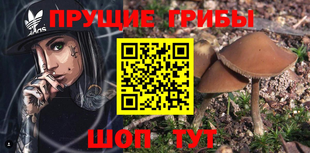Галлюциногенные грибы GOLDEN TEACHER Кизляр