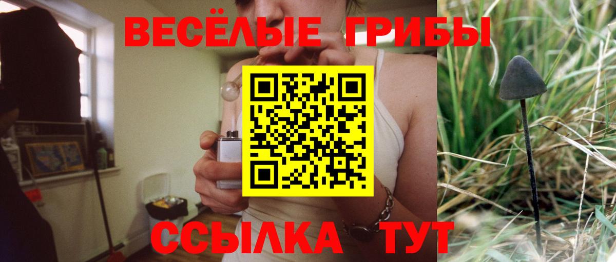 Кизляр  как найти закладки  Вход с VPN  Галлюциногенные грибы мицелий 