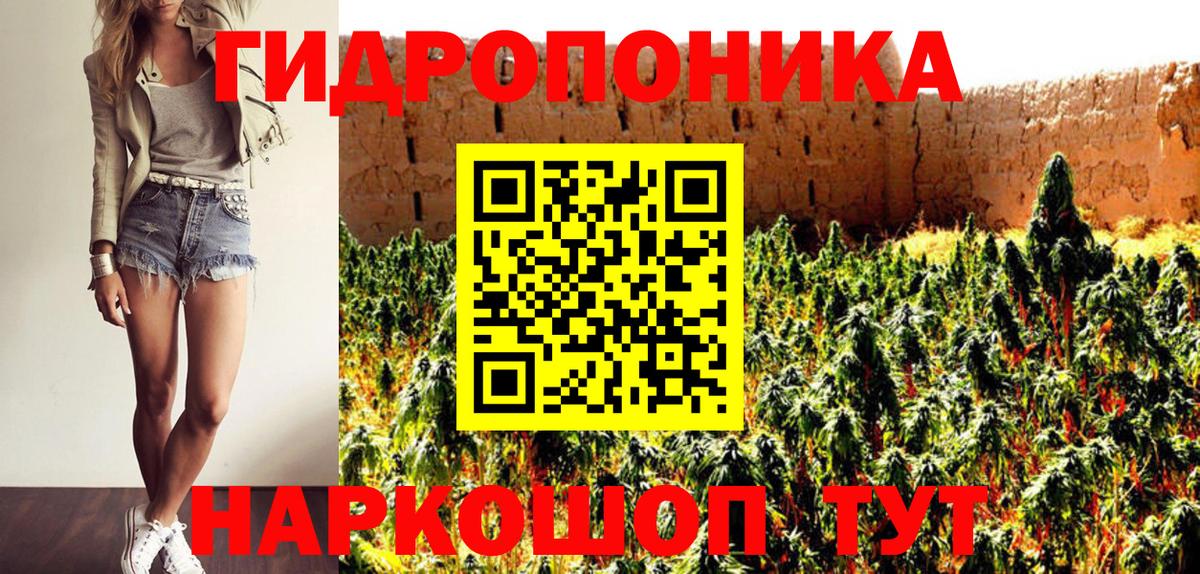 Конопля ГИДРОПОН Кизляр